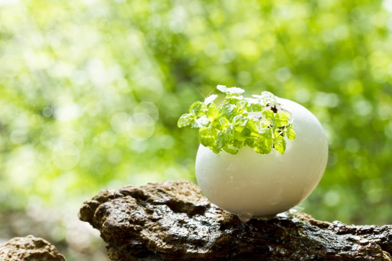 ニューノーマル時代の到来